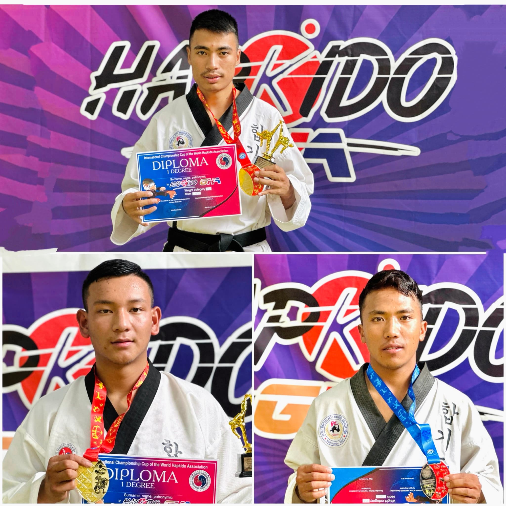 हाप्किडोमा नेपाललाई २ स्वर्ण र १ रजत पदक