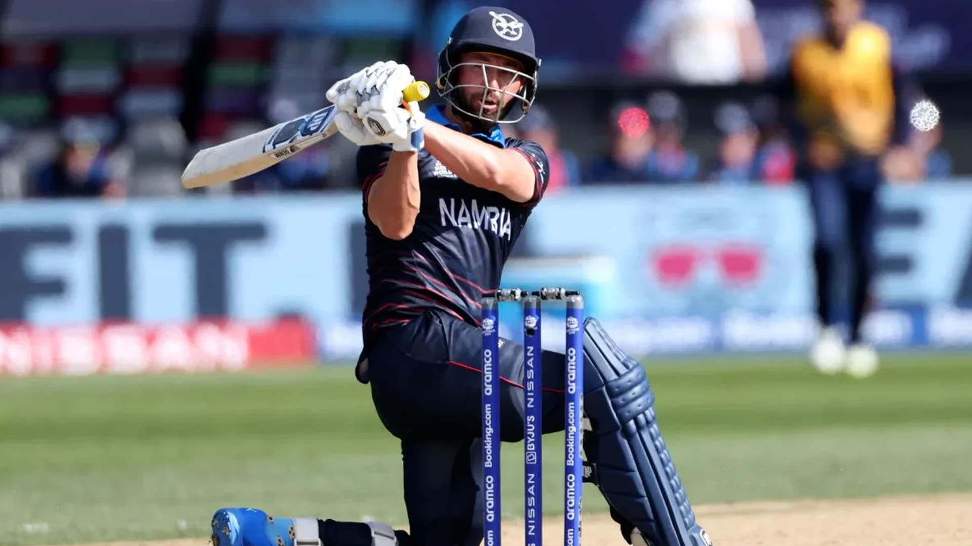 फ्राइलिङ्कले १३ बलमै हाने अर्धशतक