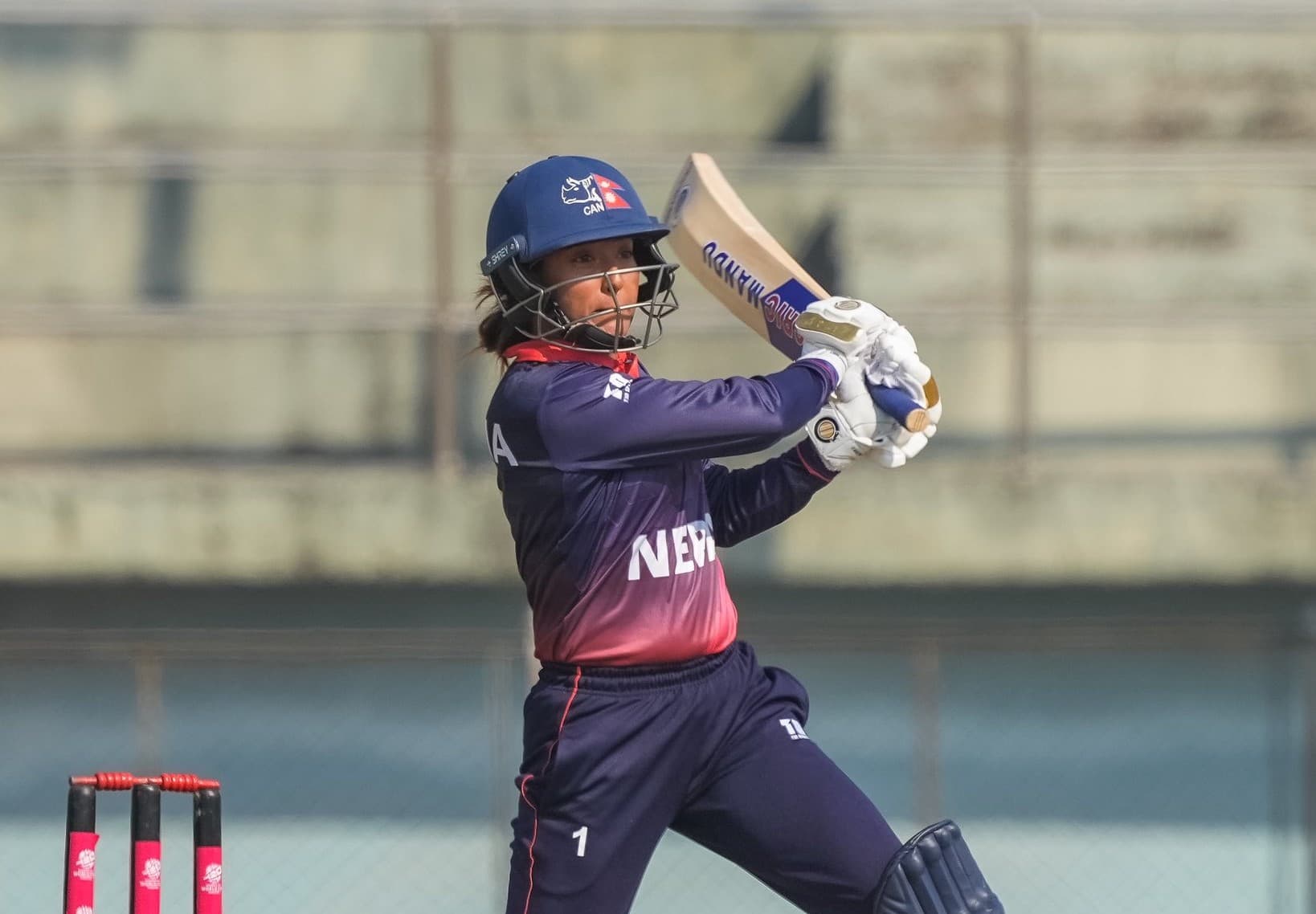 आयरल्यान्डसँग लज्जास्पद हार