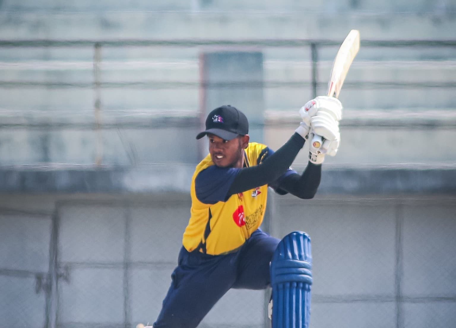 गण्डकीका अर्जुन र दीपकको अर्धशतक